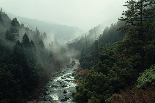 How to Enjoy a Memorable Hike in the Rain: Benefits & Tips - Tatooine Nomad